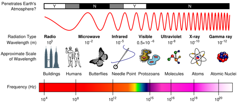 The electromagnetic spectrum from radio waves through microwave, infrared, visible, ultraviolet, X-ray and gamma ray, with wavelength decreasing and frequency increasing left to right. An 'approximate scale of wavelength' row compares each band to a physical object — buildings for radio, humans for microwave, butterflies for infrared, a needle point for visible, protozoans for ultraviolet, molecules for X-ray, atoms and atomic nuclei for gamma. A top strip marks which wavelengths penetrate Earth's atmosphere.