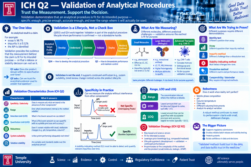 One-page overview of ICH Q2 — Validation of Analytical Procedures, subtitled 'Trust the measurement, support the decision.' Panels cover: the one idea (an analytical result is a claim; validation is the evidence the measurement is fit for its intended purpose, and Q1 asks whether the product stays in specification over time while Q2 asks whether we can trust the evidence used to answer that); validation as a lifecycle rather than a check box, shown as a chevron flow — analytical target profile, develop, understand, optimize, validate, deploy, monitor, maintain/improve — with Q14 covering development and Q2 covering the demonstration of performance; the analytical procedure as a measurement system, with a table of components (sample preparation, reagents and reference materials, instrument, chromatographic conditions, data handling, analyst, software and environment, acceptance criteria) and how each influences the result; what we are trying to prove — fit for purpose, with identity, assay and impurity methods each having a different job and no universal validation package; the performance characteristics table (specificity/selectivity, range, response, accuracy, precision, detection limit, quantitation limit, robustness) each phrased as a question; specificity with non-specific versus specific chromatogram peaks and the tie to stability-indicating methods; accuracy and precision shown as archery targets; range, LOD and LOQ; robustness against deliberate reasonable variations in mobile phase, pH, column temperature, flow rate, sample prep and analysts/instruments; a stability-indicating method workflow — stress product, generate degradants, separate and analyze, confirm structures, validate method; validation strategy and deployment — same method at multiple sites, method transfer, platform methods, ongoing monitoring; the Q2 family with Q2(R2) and Q14 and the key R2 updates (lifecycle approach, reportable range, multivariate procedures, flexibility for justified alternatives); the big picture from Q1 stability through Q2 validation, Q3 impurities and Q6 specifications to Q8–Q14 quality by design, with science plus evidence equals control equals patient trust; and three discussion questions.