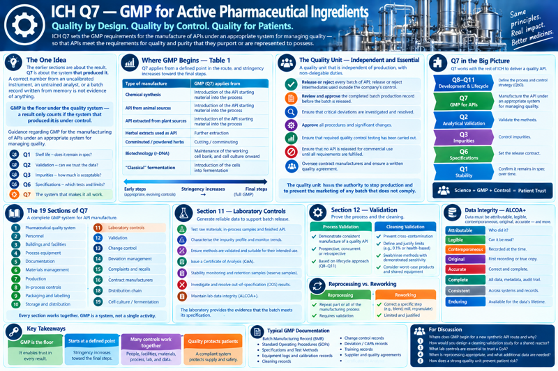 One-page overview of ICH Q7 — GMP for Active Pharmaceutical Ingredients, subtitled 'Quality by Design. Quality by Control. Quality for Patients.' Panels cover: the one idea (the earlier ICH sections are about the result; Q7 is about the system that produced it — a correct number from an uncalibrated instrument or a batch record written from memory is not evidence, and GMP is the floor the quality system stands on); where GMP begins (Table 1 — chemical synthesis, animal-source and plant-source APIs start at introduction of the API starting material, herbal extracts at further extraction, comminuted herbs at cutting, biotech at maintenance of the working cell bank, classical fermentation at introduction of the cells — with stringency increasing from early steps to final steps); the independent quality unit and its non-delegable duties (release or reject every batch, review and approve the batch record, ensure critical deviations are investigated, approve procedures and changes, ensure QC testing is done, release no batch until all requirements are met, oversee contract manufacturers) plus its authority to stop production and prevent marketing of a non-compliant batch; Q7 in the big picture (Q8–Q11 define the process and control strategy, Q7 builds the quality system, Q2 validates the methods, Q3 controls impurities, Q6 sets the release contract, Q1 confirms stability — Science + GMP + Control = Patient Trust); the numbered sections of Q7 (quality system, personnel, buildings and facilities, process equipment, documentation, materials management, production, in-process controls, packaging and labelling, storage and distribution, laboratory controls, validation, change control, deviation management, complaints and recalls, contract manufacturers, distribution chain, cell culture / fermentation); Section 11 laboratory controls (test raw materials, in-process samples and finished API; characterise the impurity profile and monitor trends; validate methods for their intended use; issue a certificate of analysis; stability monitoring and reserve samples; investigate and resolve out-of-specification results; maintain data integrity); Section 12 validation (process validation — prospective, concurrent or retrospective, lifecycle-based — and cleaning validation with justified health-based limits, validated swab/rinse methods, and worst-case shared equipment); reprocessing versus reworking; data integrity — ALCOA+ (attributable, legible, contemporaneous, original, accurate, complete, consistent, enduring, available); key takeaways (GMP is the floor, it starts at a defined point, many controls work together, quality protects patients); typical GMP documentation (batch manufacturing record, SOPs, specifications and test methods, equipment and calibration logs, cleaning records, change control and CAPA records, training records, quality agreements, certificates of analysis); and discussion questions.
