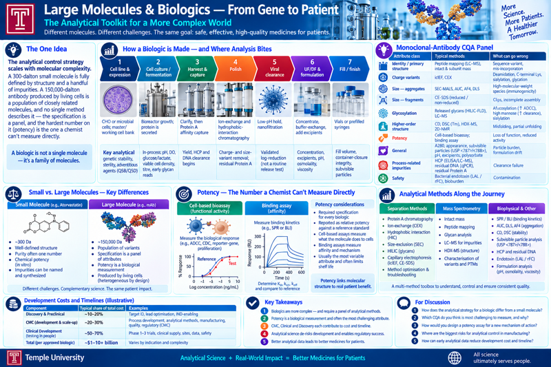 Summary infographic: Large Molecules & Biologics — From Gene to Patient, covering the analytical toolkit, the seven-step biologic manufacturing process, the monoclonal-antibody CQA panel, small-vs-large-molecule differences, potency assays, analytical methods, development costs, key takeaways, and discussion questions